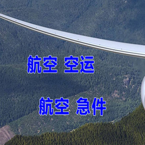 阆中古城空运地址快递-选东方航空和上海航空